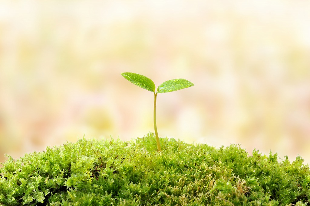 採用情報！株式会社君津水道サービスセンターの水道工事職の魅力